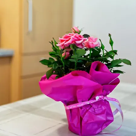 شقة Near Lift انتدورف